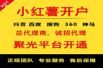 百度SEO推广策略：如何快速提升网站排名？——案例详解